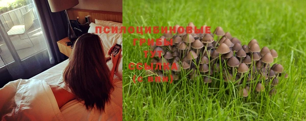 а пвп мука Волоколамск
